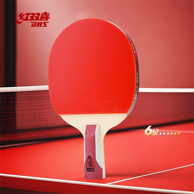 Table Tennis Champion - Racchetta da Ping Pong DHS con