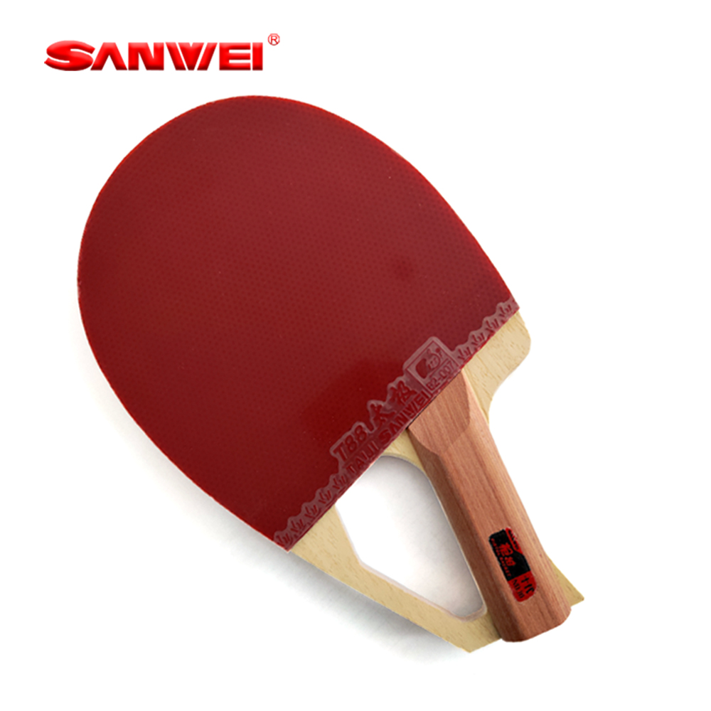 Table Tennis Blades - Racchetta da Ping Pong Professionale SANWEI
