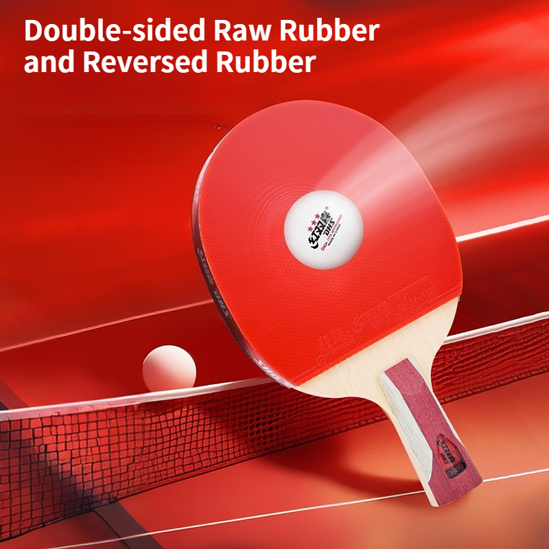 Racchetta da Ping Pong DHS con - Table Tennis Champion recensione e prezzo