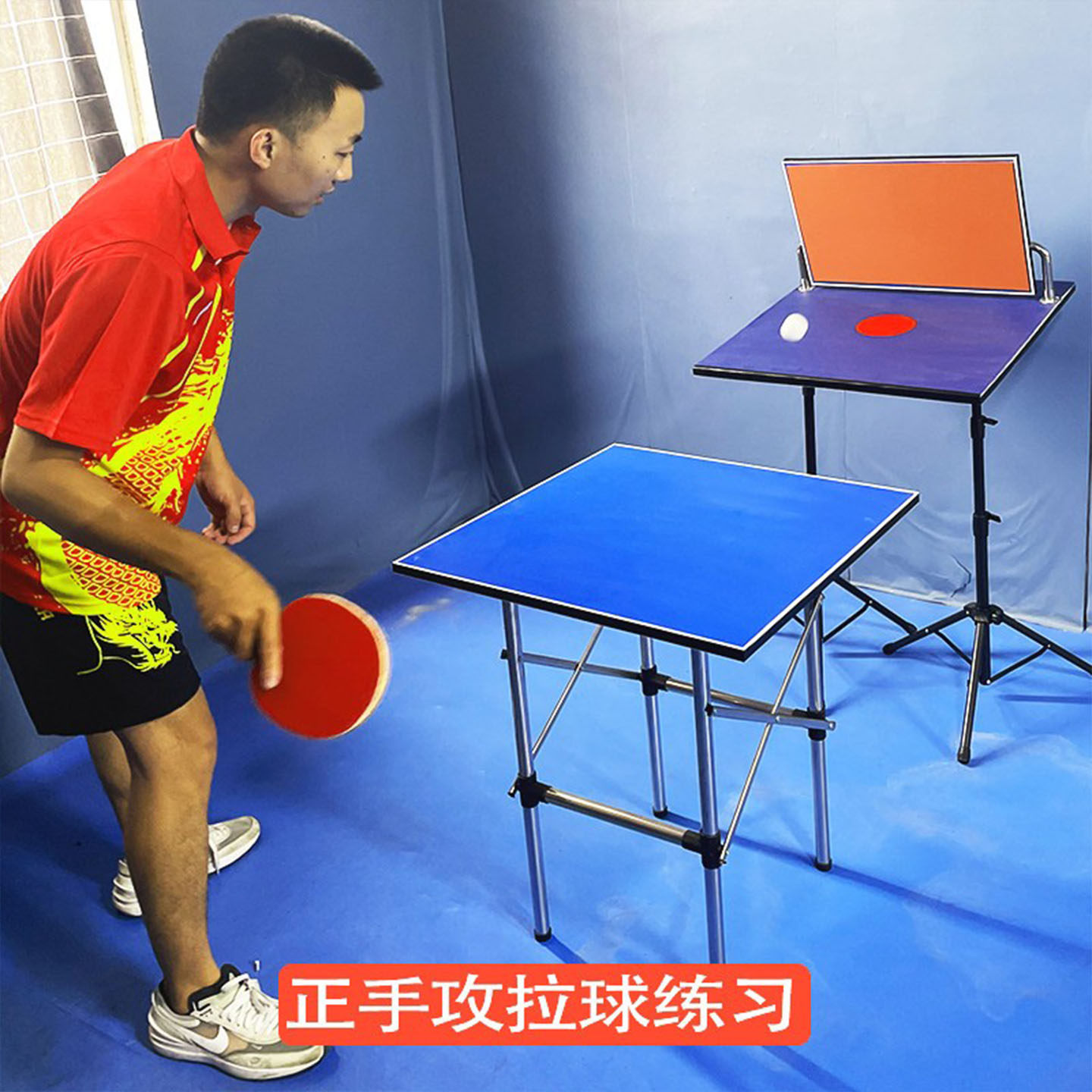 Tavola di rimbalzo per allenam - Table Tennis Single recensione e prezzo