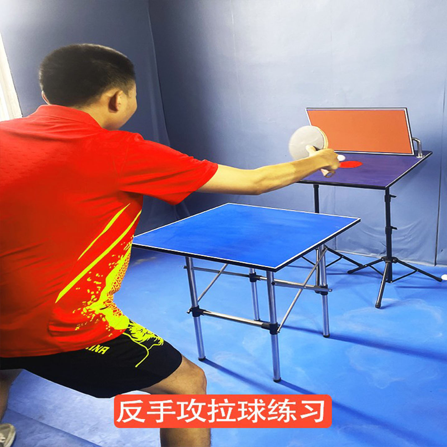 Tavola di rimbalzo per allenam - Table Tennis Single recensione e prezzo