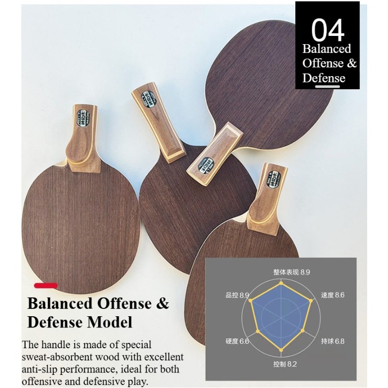 Racchetta da Ping Pong Profess - Table Tennis Blades recensione e prezzo