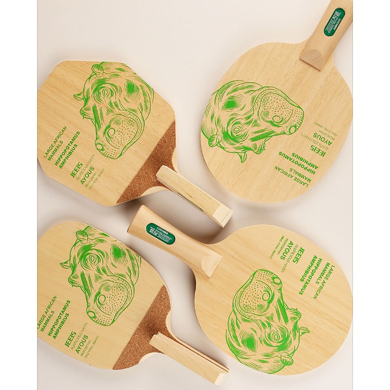 Racchetta da Ping Pong Profess - Table Tennis Blades recensione e prezzo