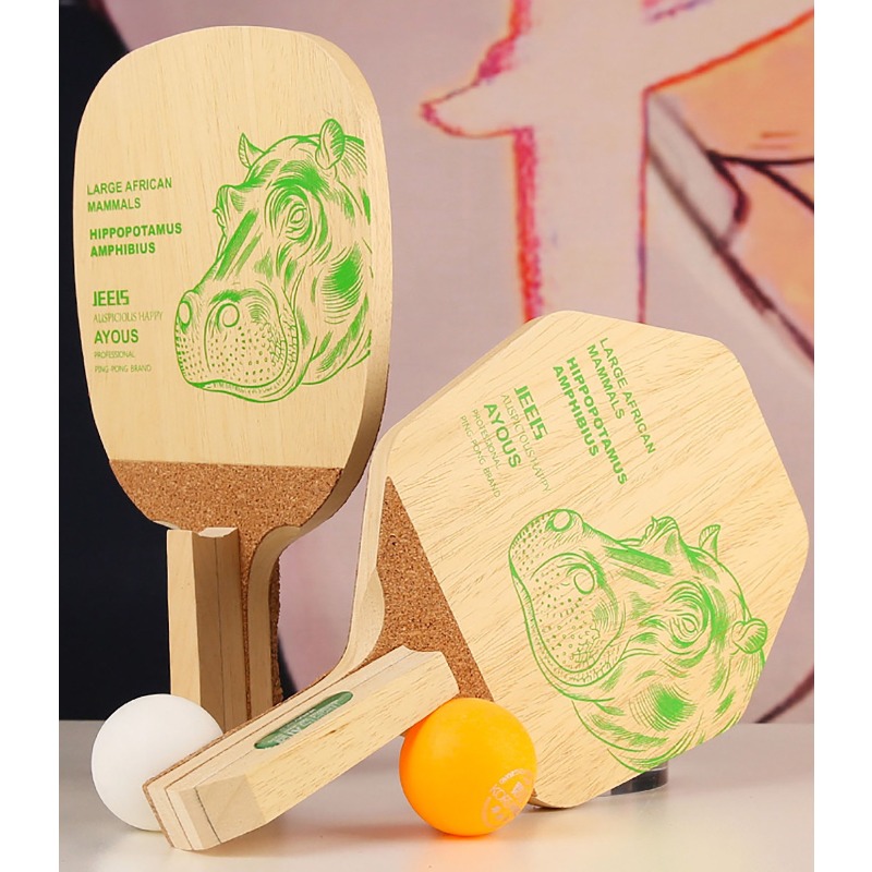 Racchetta da Ping Pong Profess - Table Tennis Blades recensione e prezzo
