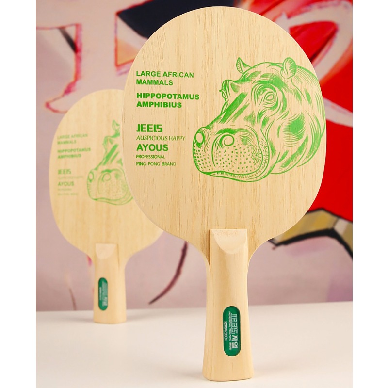 Racchetta da Ping Pong Profess - Table Tennis Blades recensione e prezzo