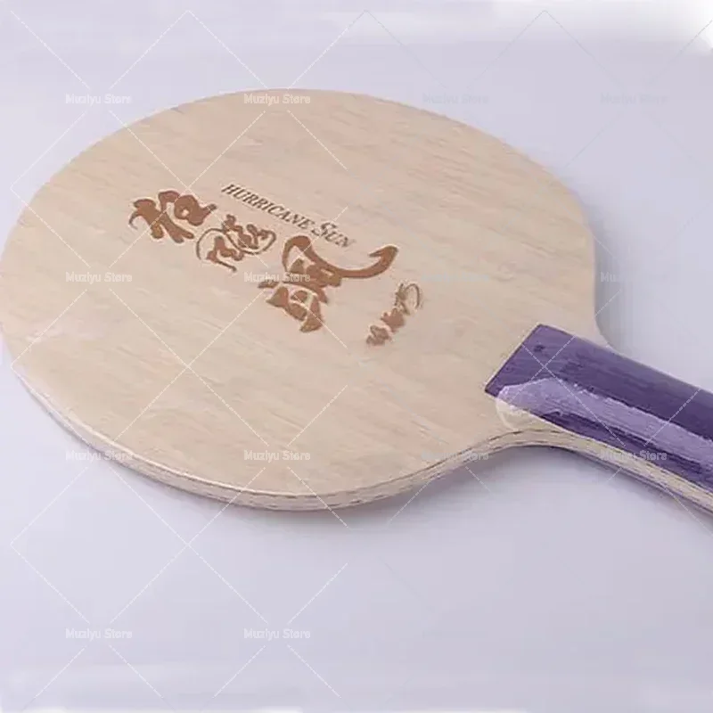Lama da Ping Pong DHS Hurrican - Table Tennis Champion recensione e prezzo