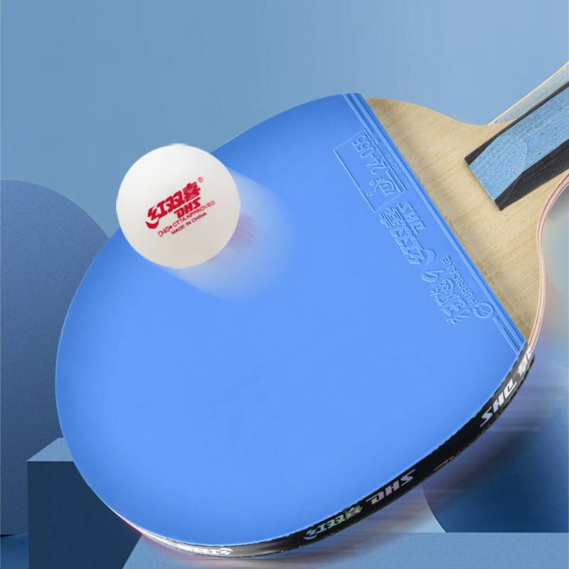 Racchetta da ping pong DHS 6 S - Table Tennis Champion recensione e prezzo