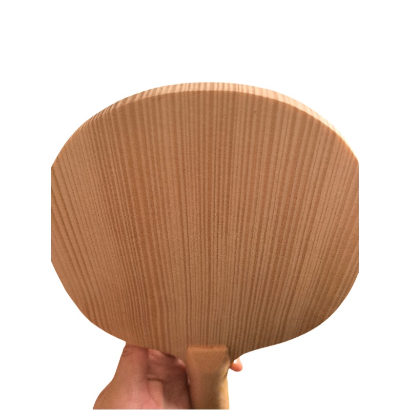 Lama da Ping Pong Professional - Table Tennis Blades recensione e prezzo