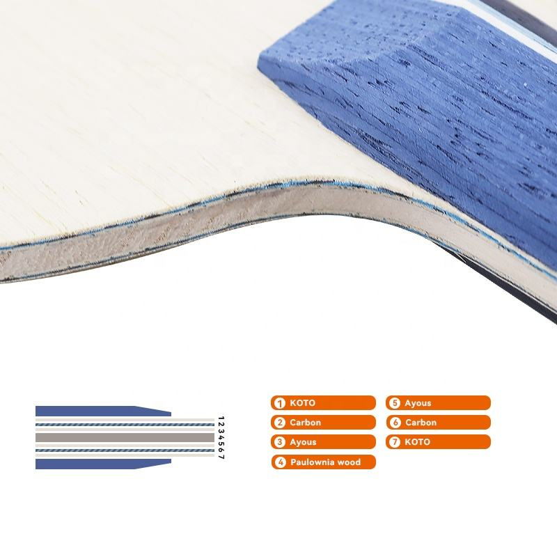 1 Pezzo Racchetta da Ping Pong - Table Tennis Blades recensione e prezzo