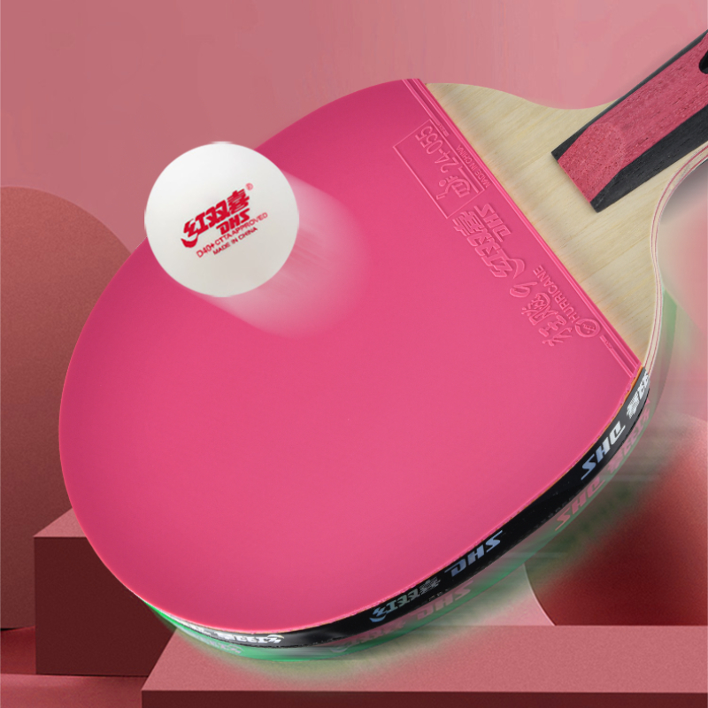DHS 6 Star Racchetta da ping p - Table Tennis Champion recensione e prezzo