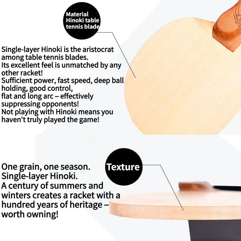 Racchetta da Ping Pong Profess - Table Tennis Single recensione e prezzo